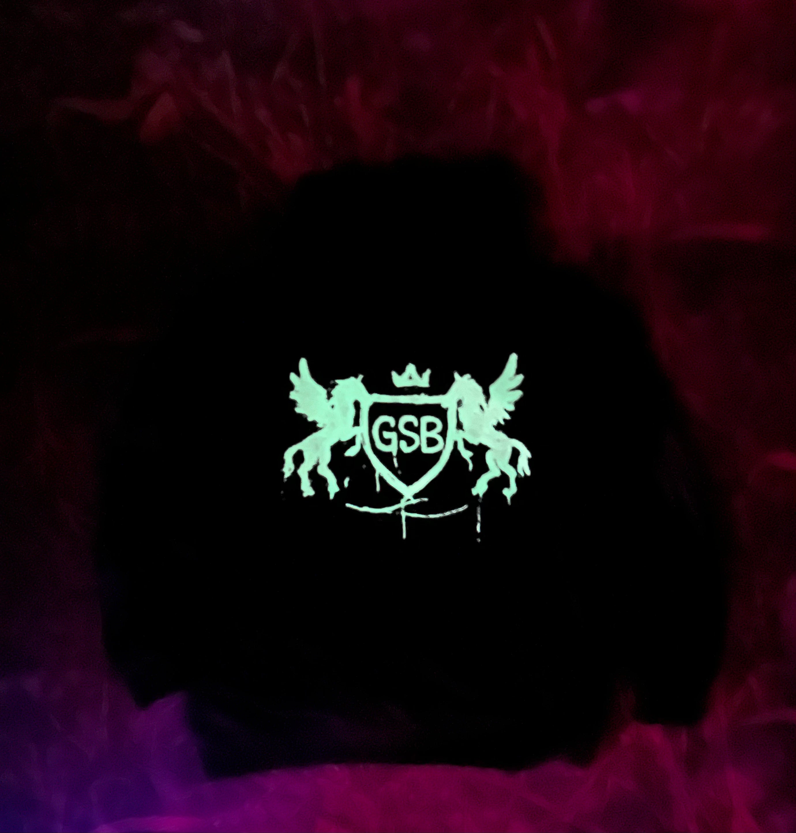Track Suit Hoodie